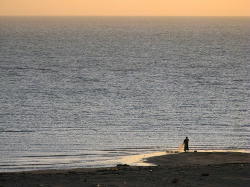 The fishing net