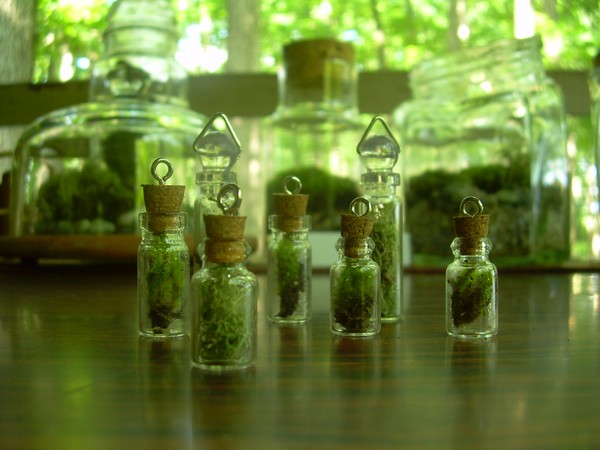 Life necklaces, updated