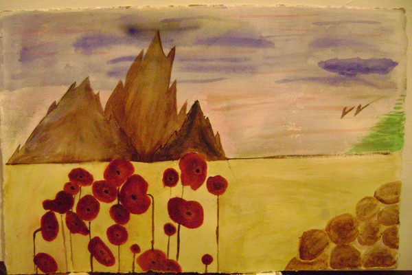 Poppy_Fields