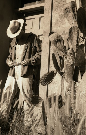 cowboyAR