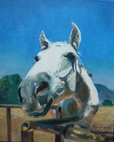 Horse In Your Face