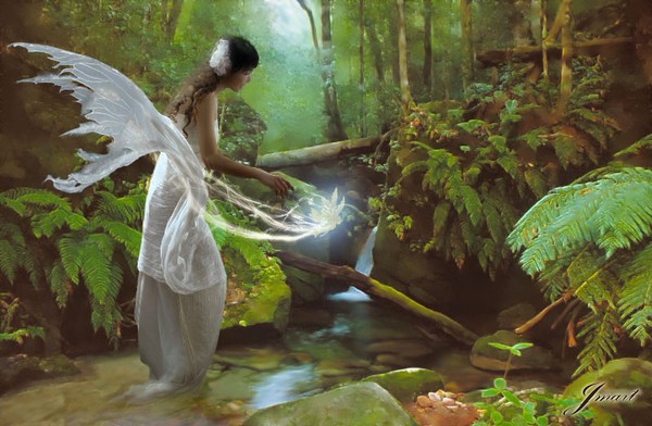 The Enchantment