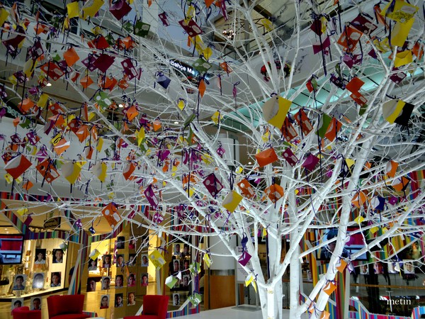 wishing tree