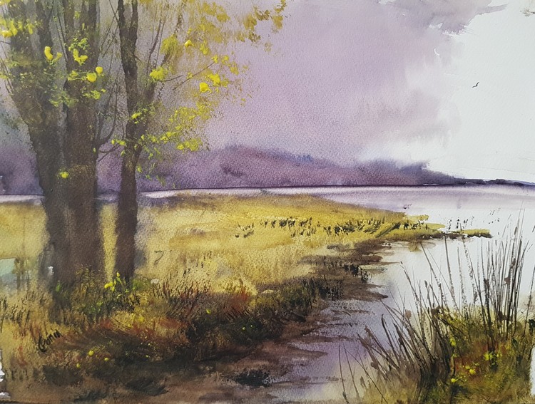 Estuary