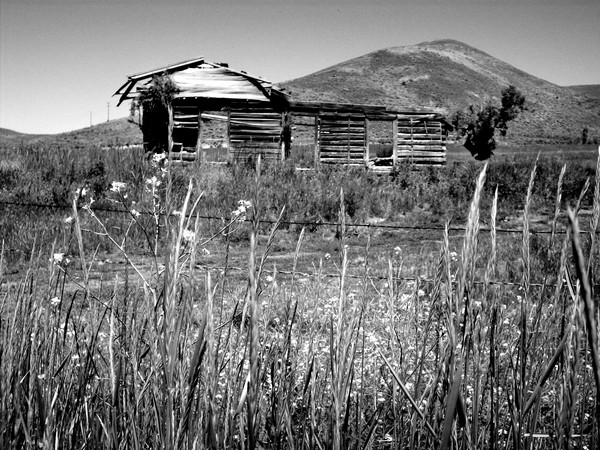 Lost Creek