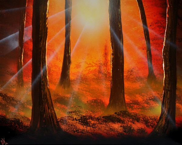 Autumn beams