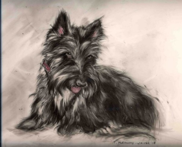 Bonnie