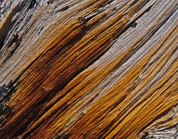 Wood