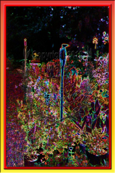 Tonight In The Tropical Torchlight Garden
