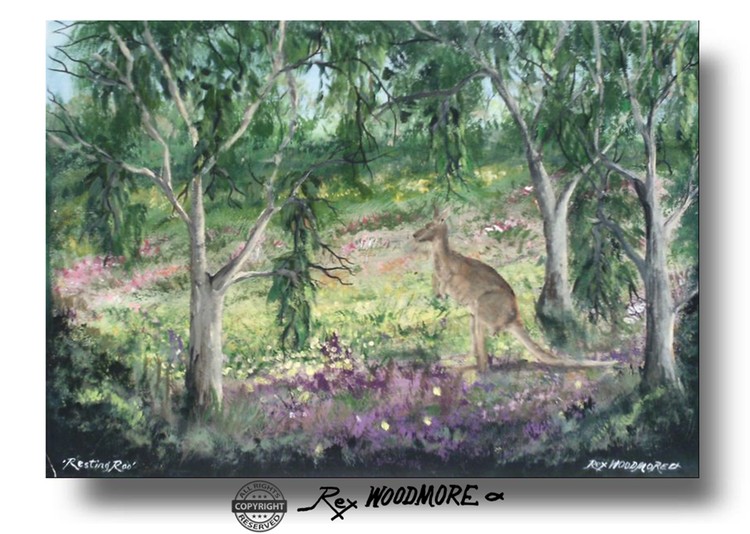 Resting Roo
