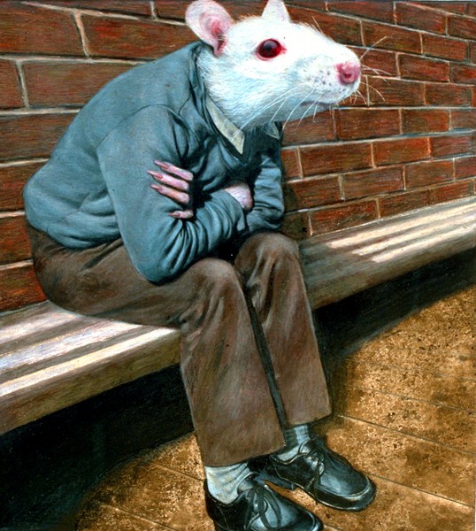 Ratboy