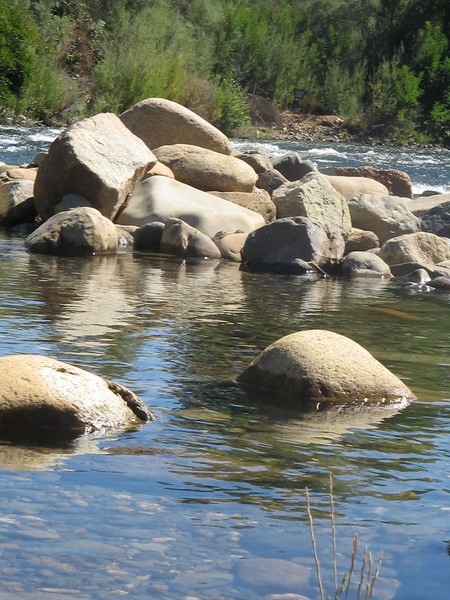 The American River