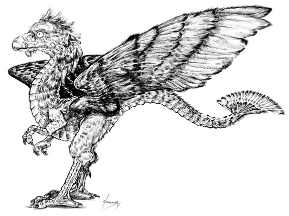 Feathered