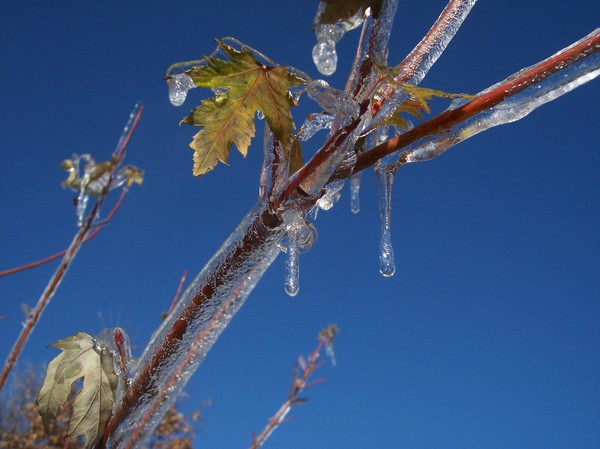 First Ice