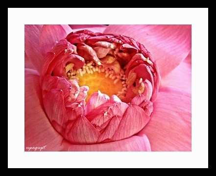 Nature's beauty