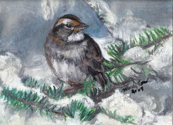 Sparrow