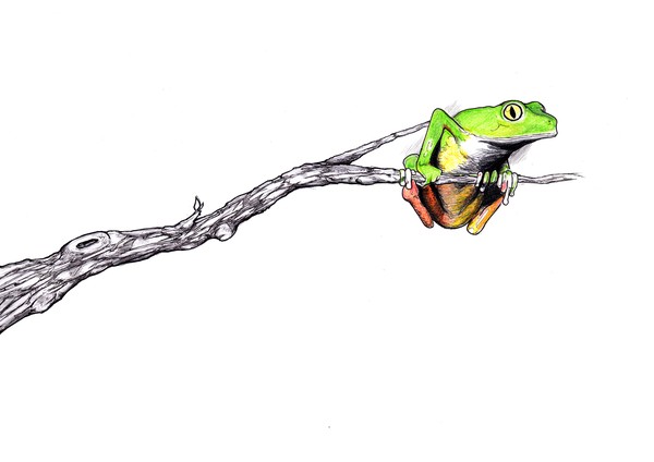 Tree Froggle