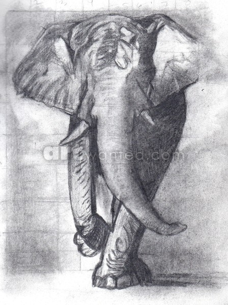 Elephant #2