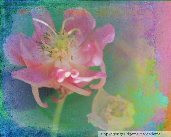 Flower Children
