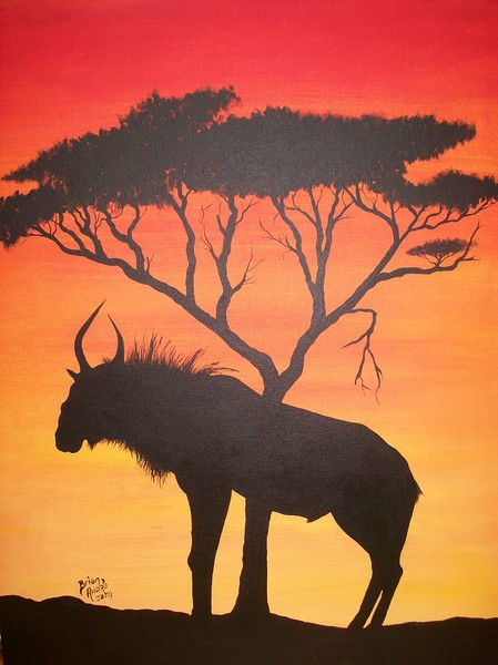 Blue Wildebeest