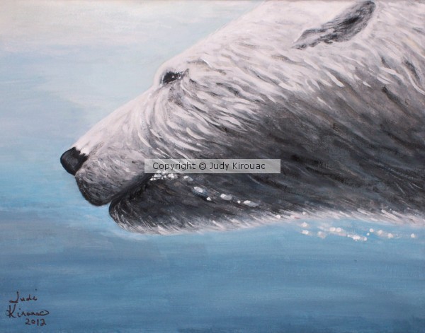 Polar Bear Splash