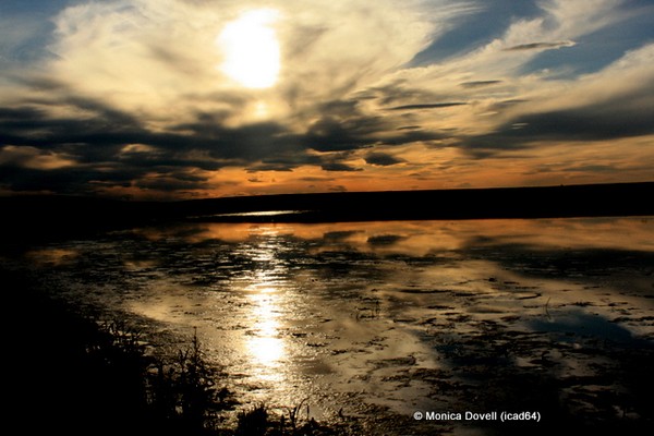 Golden Sunset