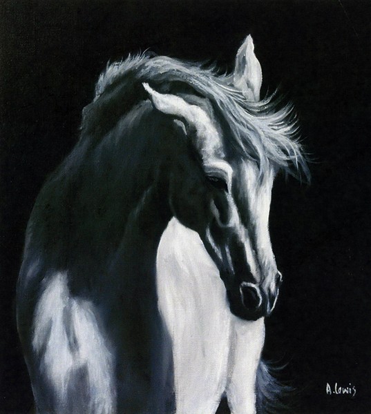Camargue dream