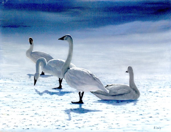 Tundra swans