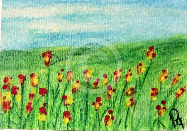 Field of Dreams ACEO