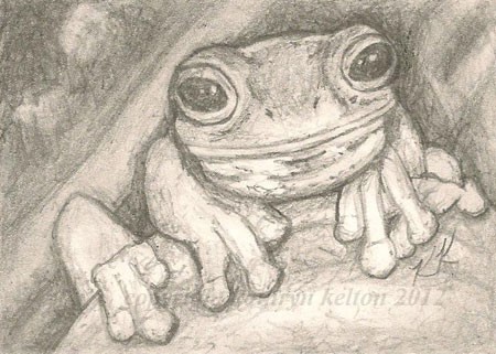 Froggy On A Leaf ACEO