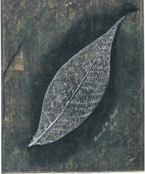 Gypsum Crystal Leaf