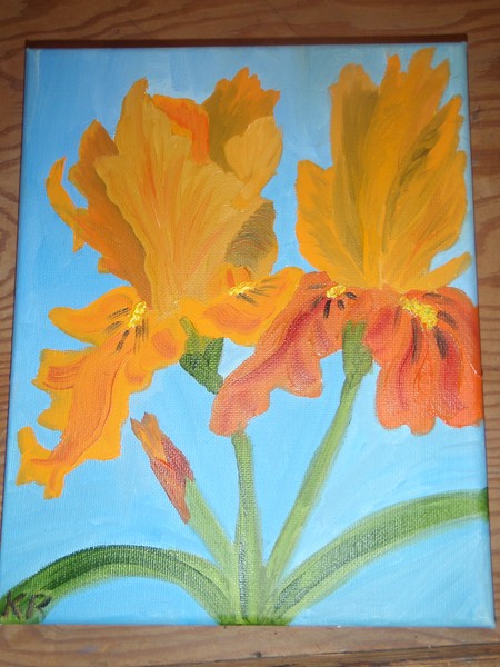 Iris