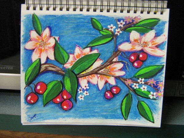 Cherry Blossoms