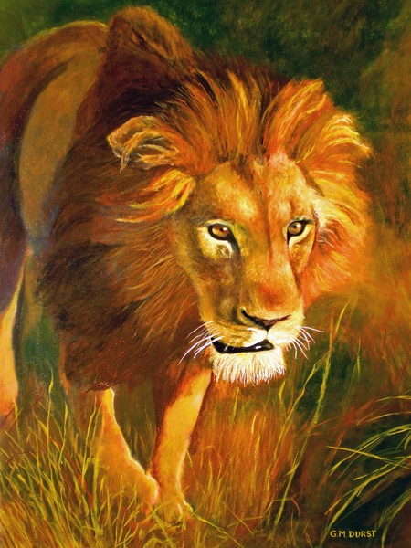 Lion At Sunset