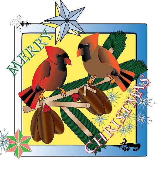 Cardinal-2.24