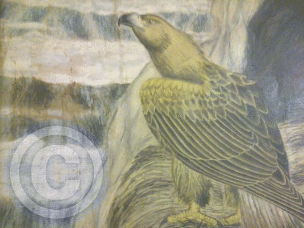 Eagle