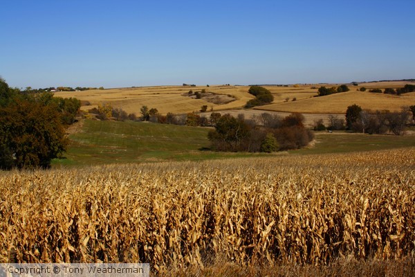 Fall in Nebraska 2 ne1251