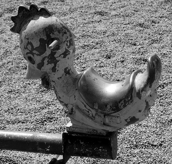 See Saw