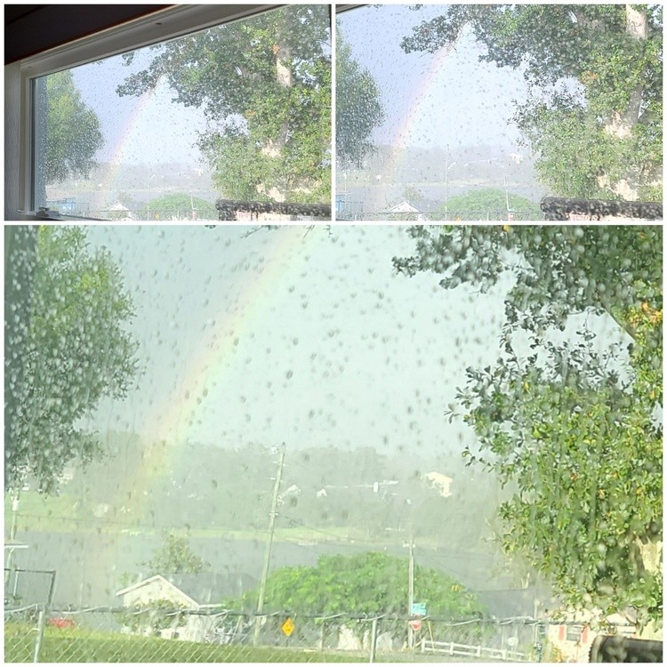 Rainbow TAKE THOUGH A SCREENED WINDOW