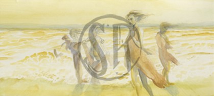 Selkies