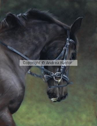 Black Horse