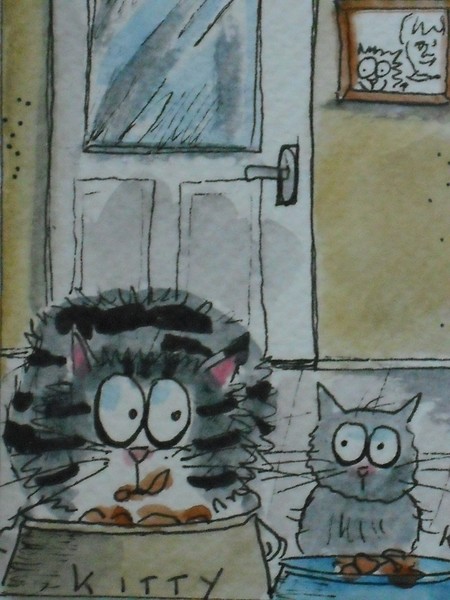 kitty/misty dinners up