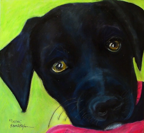 Black Puppy - Shelter Dog