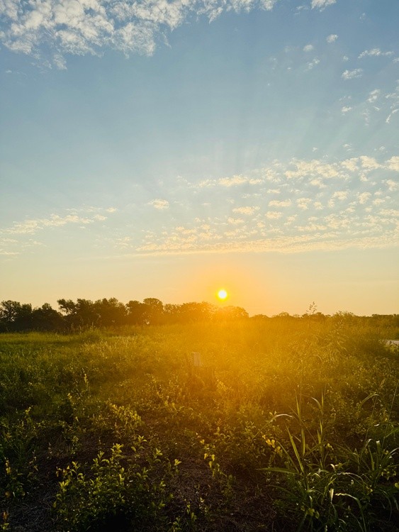 Sunrise on Texas Prairie