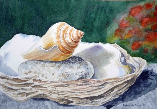 Sea Shells 