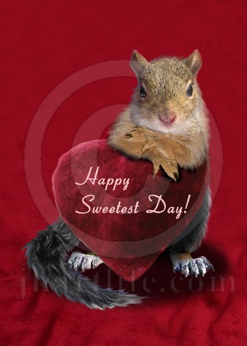 Squirrel Sweetest Day 918067