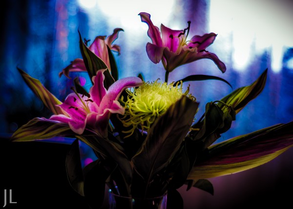 Flower multi001