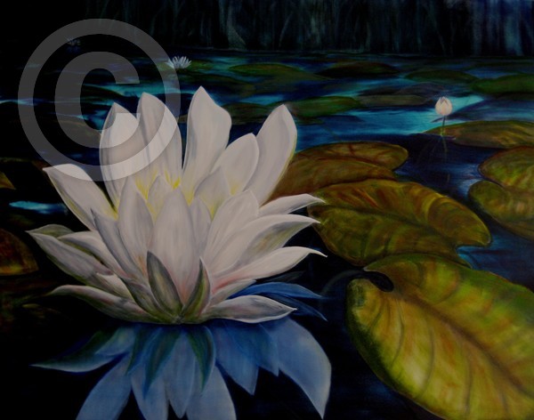 Lotus Blossom