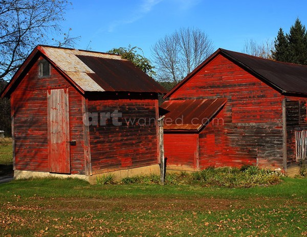 Little Red Barns I