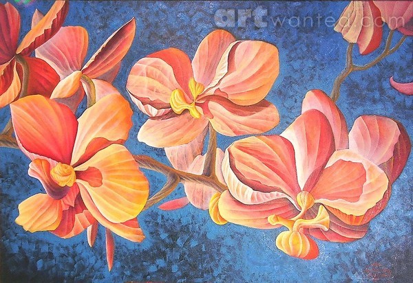 Orchids